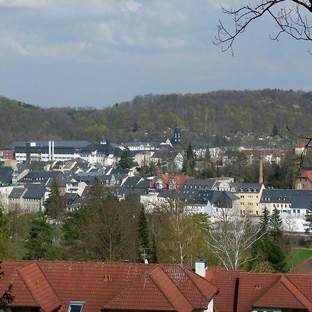 Urlaub Und Arbeit In Waldheim Apartment Exterior foto